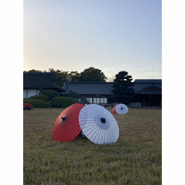 みきてぃ様専用② hotelvillaespanola.com
