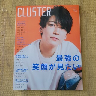 ジャニーズ(Johnny's)のＣＬＵＳＴＥＲ 俳優たちのグラビアとインタビューをキャッチ！ Ｖｏｌ．１４(アート/エンタメ)