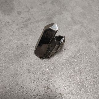 JULIUS - Nilos ニルズ 16SS CrystalRing SILVER JULIUSの通販|ラクマ