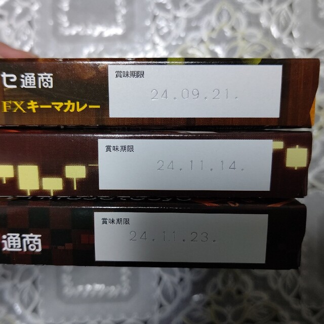 ヒロセ通商 レトルトカレー22食セット 食品/飲料/酒の加工食品(レトルト食品)の商品写真