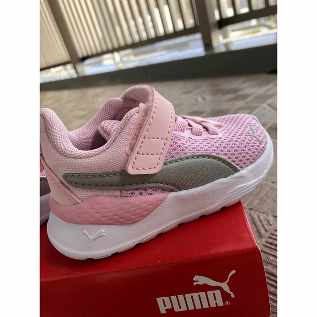 PUMA(プーマ)のPUMA スニーカー アンザラン ライト ピンク ベビー　12cm キッズ/ベビー/マタニティのベビー靴/シューズ(~14cm)(スニーカー)の商品写真