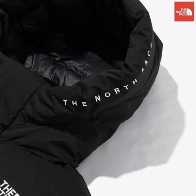 THE NORTH FACE(ザノースフェイス)の♦️ラスト1点♦️ノースフェイス　ダウンジャケット　ビレイヤー　バルトロ　限定 メンズのジャケット/アウター(ダウンジャケット)の商品写真