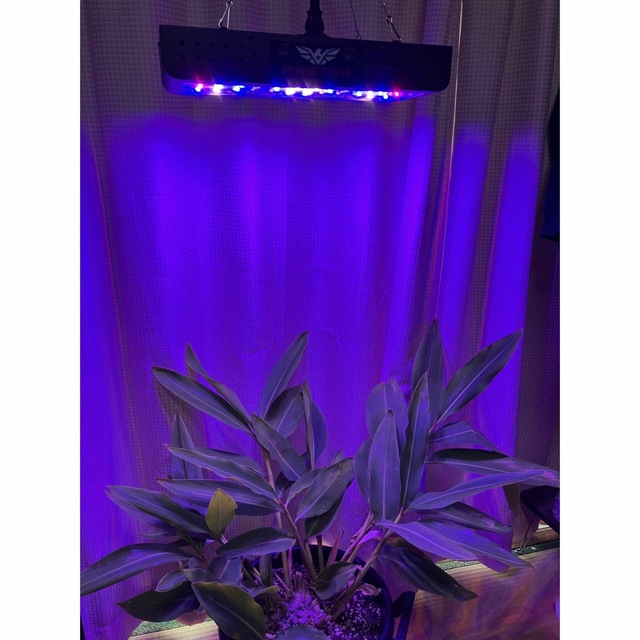 LED 植物用グローライト 600W 観葉植物 室内栽培 水耕栽培