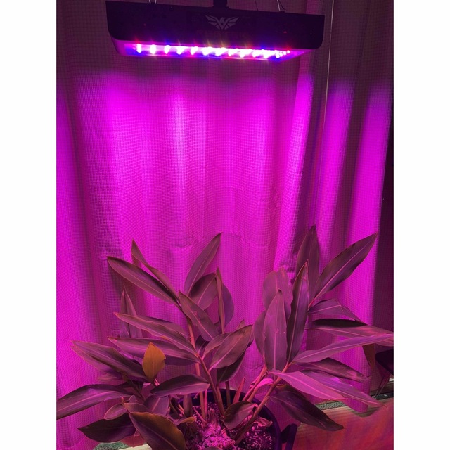 LED 植物用グローライト 600W 観葉植物 室内栽培 水耕栽培