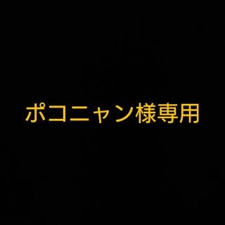 ポコニャン様専用(クリアファイル)