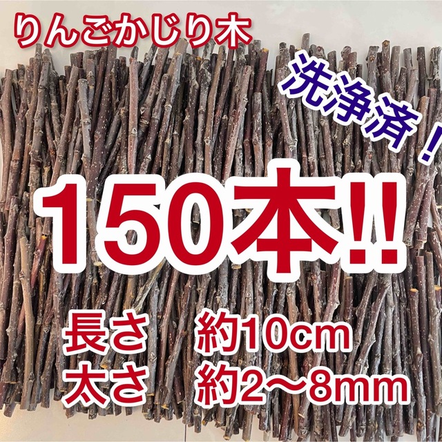 りんごの枝　かじり木　細枝　青森県津軽産　150本セット　洗浄済 その他のペット用品(小動物)の商品写真