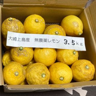 広島県大崎上島産無農薬レモン　3.5kg(フルーツ)