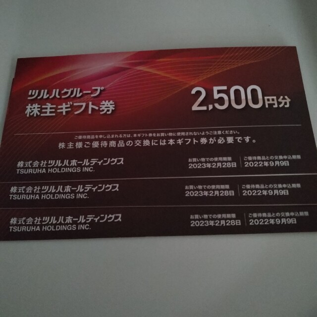 早い者勝ち ツルハ株主ギフト券 7500円分（500円券×15枚） - その他