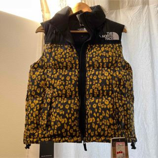 ザノースフェイス(THE NORTH FACE)のTHE North Face(ダウンベスト)