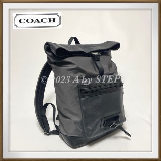 コーチ(COACH)のB82 美品 コーチ パフォレイテッドレザー リュックサック 国内品薄(バッグパック/リュック)