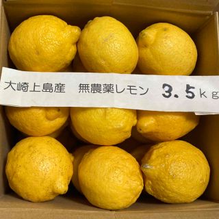 広島県大崎上島産無農薬レモン　3.5kg(フルーツ)