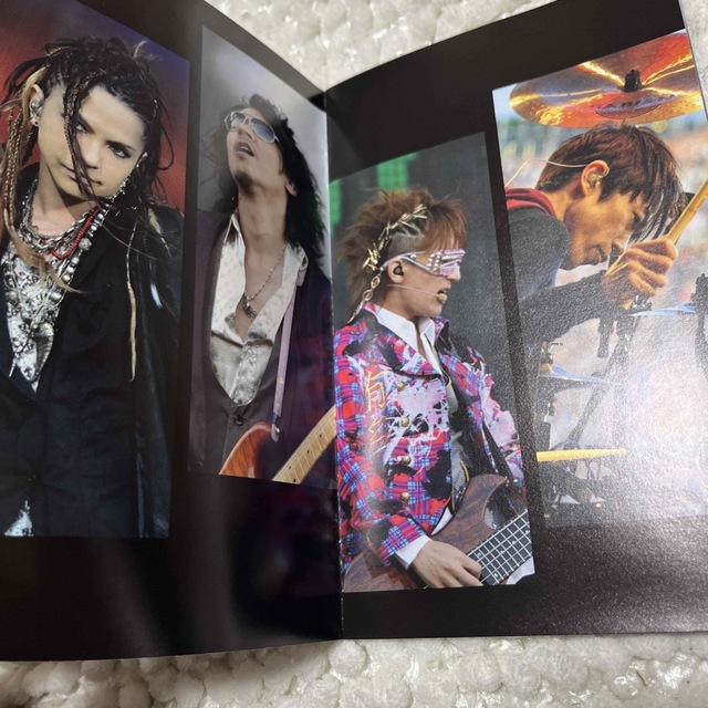 L'Arc～en～Ciel(ラルクアンシエル)の20th L'Anniversary WORLD TOUR 2012  DVD エンタメ/ホビーのDVD/ブルーレイ(ミュージック)の商品写真