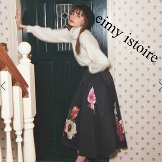 エイミーイストワール(eimy istoire)の美品　eimy istoire エイミーイストワール　ロングスカート　花柄　完売(ロングスカート)