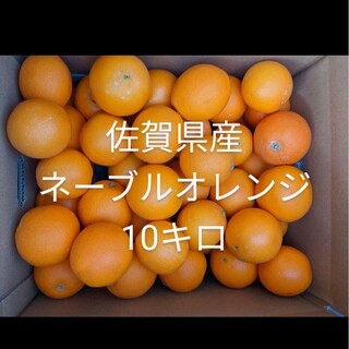佐賀県産ネーブルオレンジ10キロ(フルーツ)