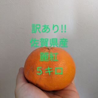 佐賀県産麗紅５キロ(フルーツ)