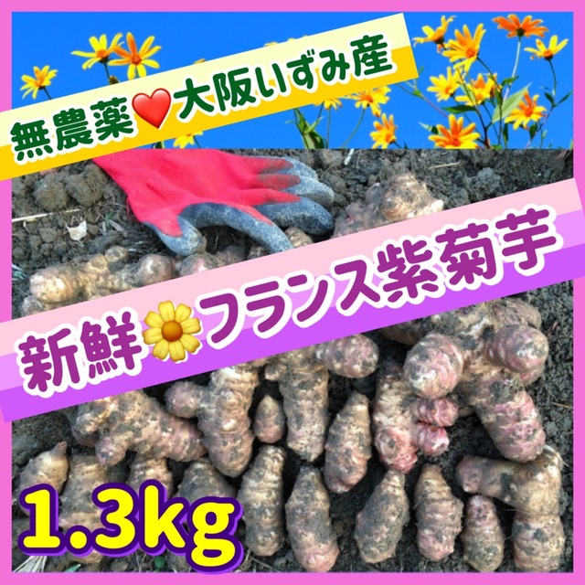 【産直特価】❤️新鮮そのもの・無農薬『フランス紫菊芋』〜大阪いずみ産 食品/飲料/酒の食品(野菜)の商品写真