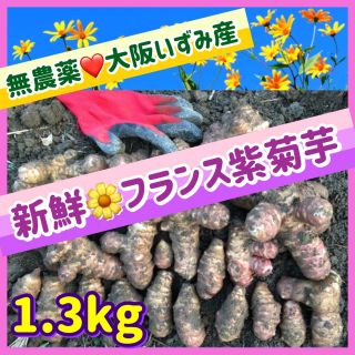 【産直特価】❤️新鮮そのもの・無農薬『フランス紫菊芋』〜大阪いずみ産(野菜)