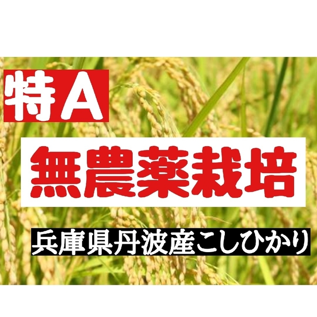 兵庫県丹波産こしひかり白米9kg+米ぬか1kg(令和4年産)