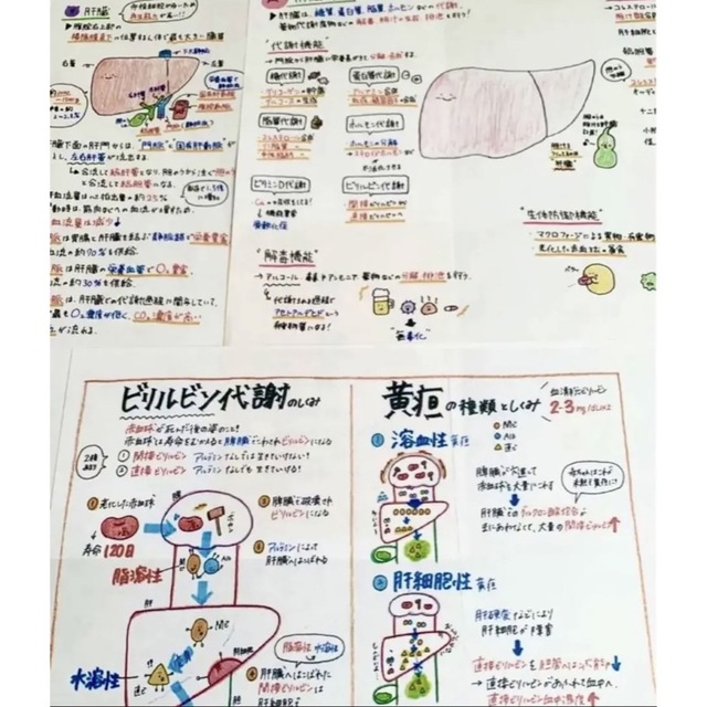 すぐ発送　付箋700枚以上　看護学生　看護師国家試験　看護付箋ノート解剖学