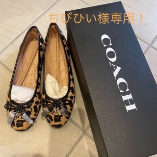 コーチ(COACH)の新品♡コーチ　ヒョウ柄フラットシューズ5.5C(バレエシューズ)