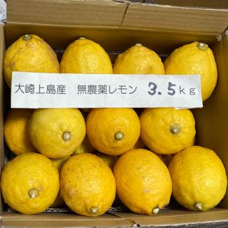 広島県大崎上島産無農薬レモン　3.5kg(フルーツ)