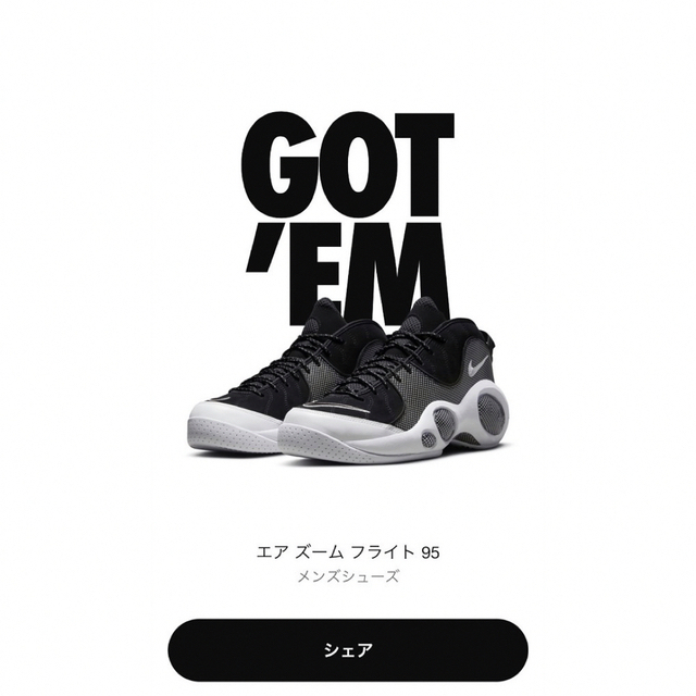 NIKE AIR ZOOM FLIGHT 95 【復刻＆オリジナル2足セット】