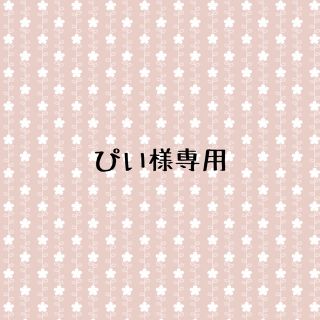 ぴい様専用(バッグ/レッスンバッグ)