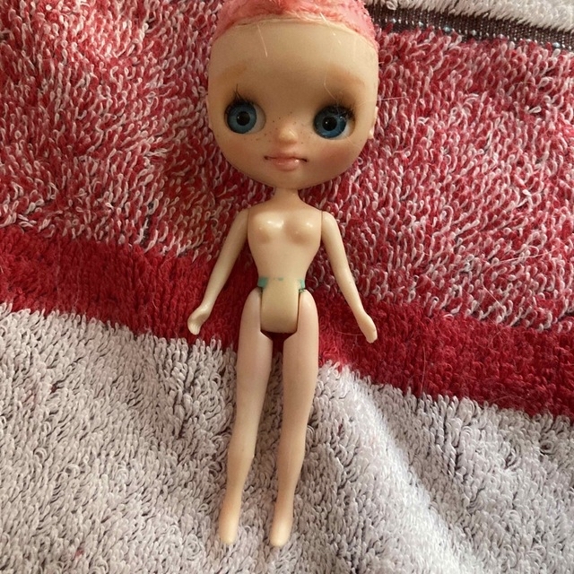 カスタムプチブライス 人気作家さま おまけつき カスタムプチブライス 人気作家さま おまけつき