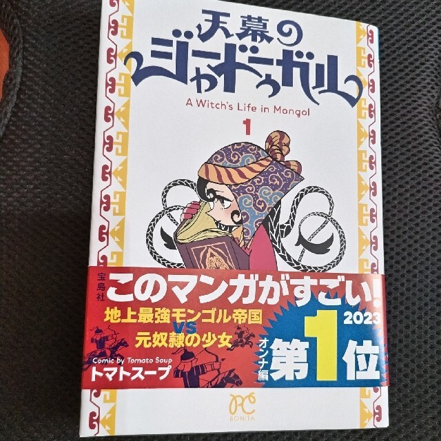 天幕のジャードゥーガル １ エンタメ/ホビーの漫画(少女漫画)の商品写真