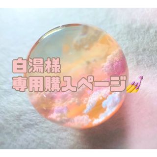 白湯様専用購入ページ💅(つけ爪/ネイルチップ)