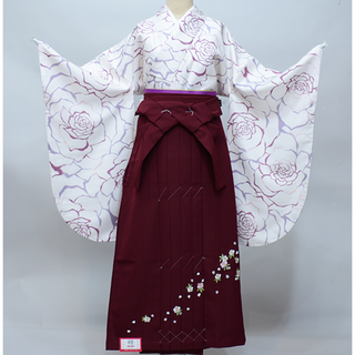帯の通販 4,000点以上(レディース) | お得な新品・中古・未使用品の
