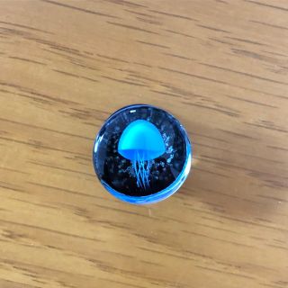 14mm ガラスプラグ　トンネル　ハイゲージ　拡張ピアス(ピアス(片耳用))