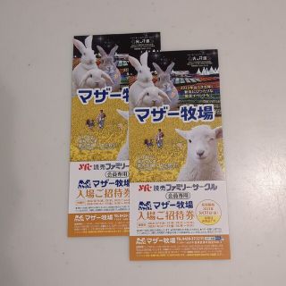 マザー牧場　ペアチケット(遊園地/テーマパーク)