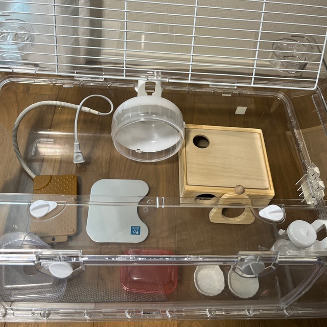 ハムスター飼育セット ルーミィ60の通販 by kome's shop|ラクマ ハムスター飼育セット ルーミィ60の通販 by kome's shop|ラクマ