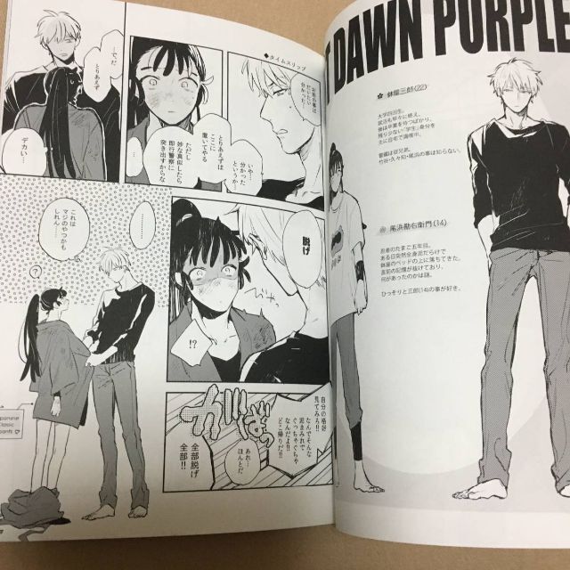 忍たま乱太郎 同人誌 LOST DAWN PURPLE 鉢尾/ そこでねる 青菜 エンタメ/ホビーの同人誌(ボーイズラブ(BL))の商品写真