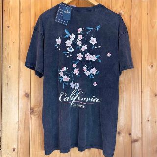 ホリスター(Hollister)のトレンドオーバーサイズ！豪華な花柄刺繍/バックプリント/半袖Tシャツ/ホリスター(Tシャツ(半袖/袖なし))