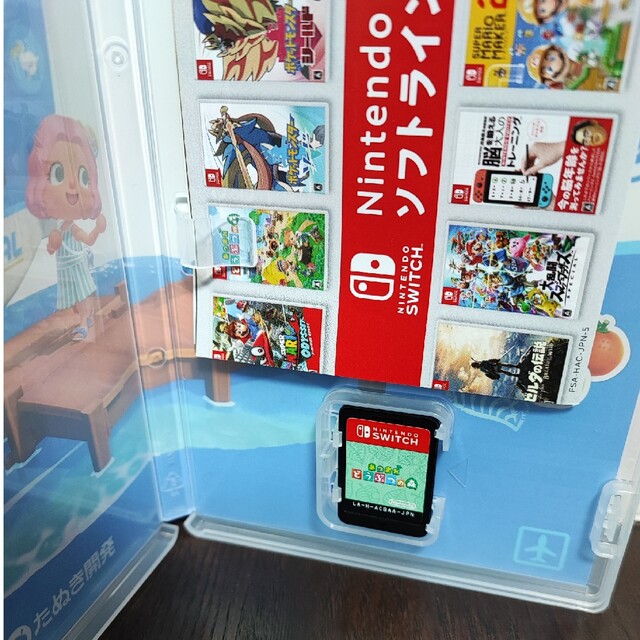 あつまれ どうぶつの森 Switch 2