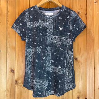 アバクロンビーアンドフィッチ(Abercrombie&Fitch)のトレンド！ペーズリー総柄♡ワンポイント刺繍/半袖Tシャツ/アバクロ(Tシャツ(半袖/袖なし))