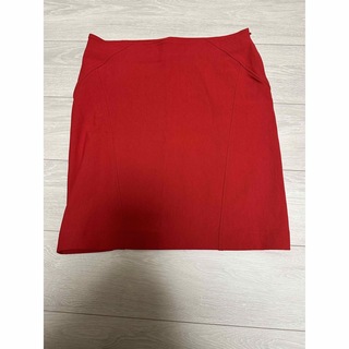 イッセイミヤケ(ISSEY MIYAKE)のイッセイミヤケ　大きめサイズ　スカート（1041）(ひざ丈スカート)