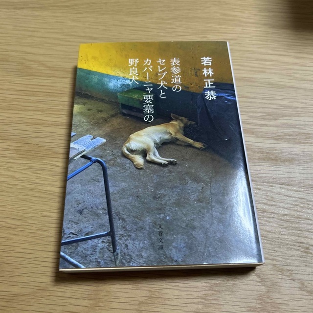 表参道のセレブ犬とカバーニャ要塞の野良犬 エンタメ/ホビーの本(その他)の商品写真