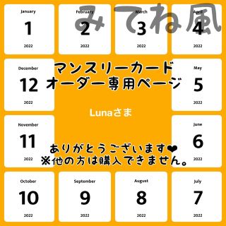 【Lunaさま専用ページ】マンスリーカード【みてね風】(アルバム)