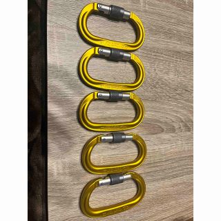 ペツル(PETZL)のクライミングテクノロジー ピラーpro banbiさん専用(登山用品)