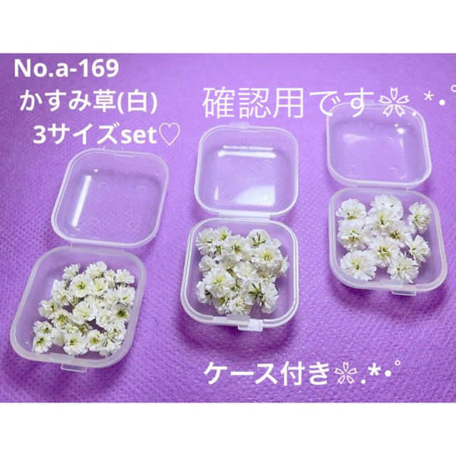 確認用ですNo.a-169 かすみ草・ドライフラワー(白) 3サイズset♡