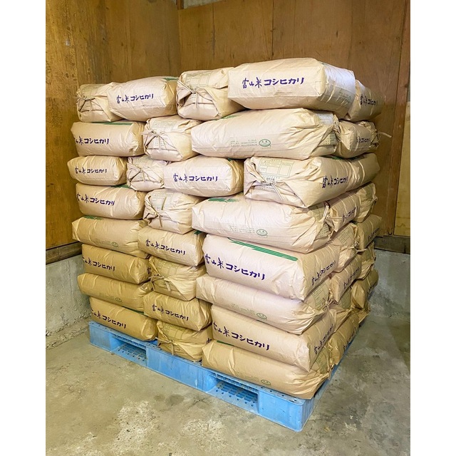 令和4年度 富山県立山産コシヒカリ 精米10kg 5