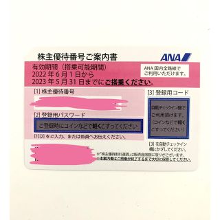 エーエヌエー(ゼンニッポンクウユ)(ANA(全日本空輸))のANA 株主優待券　チケット(その他)