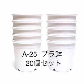 A-25 プラ鉢　20個セット(プランター)