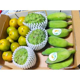 人気の沖縄産アテモヤ、アップルバナナ、フルーツシークヮーサー の３種(フルーツ)