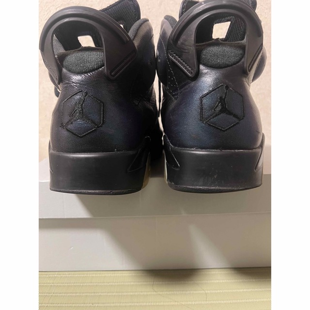 AIR JORDAN 6 カメレオン 28.5 1