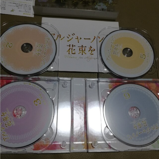 アルジャーノンに花束を DVD-BOX