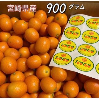 たまたま　宮崎県産　完熟きんかん　900g   金柑(フルーツ)